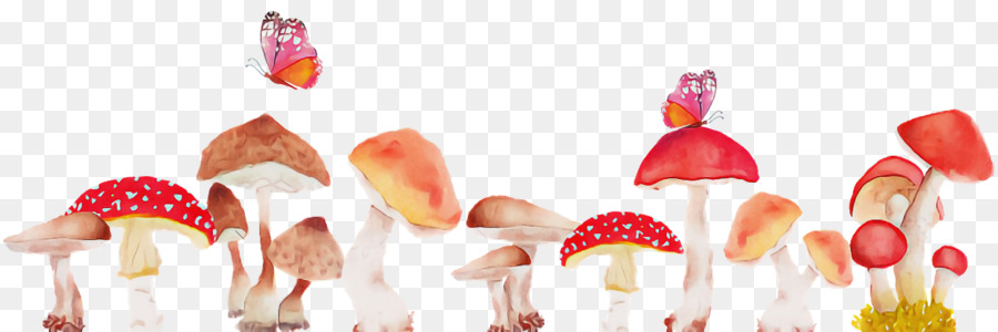 Hongos，Bosque PNG