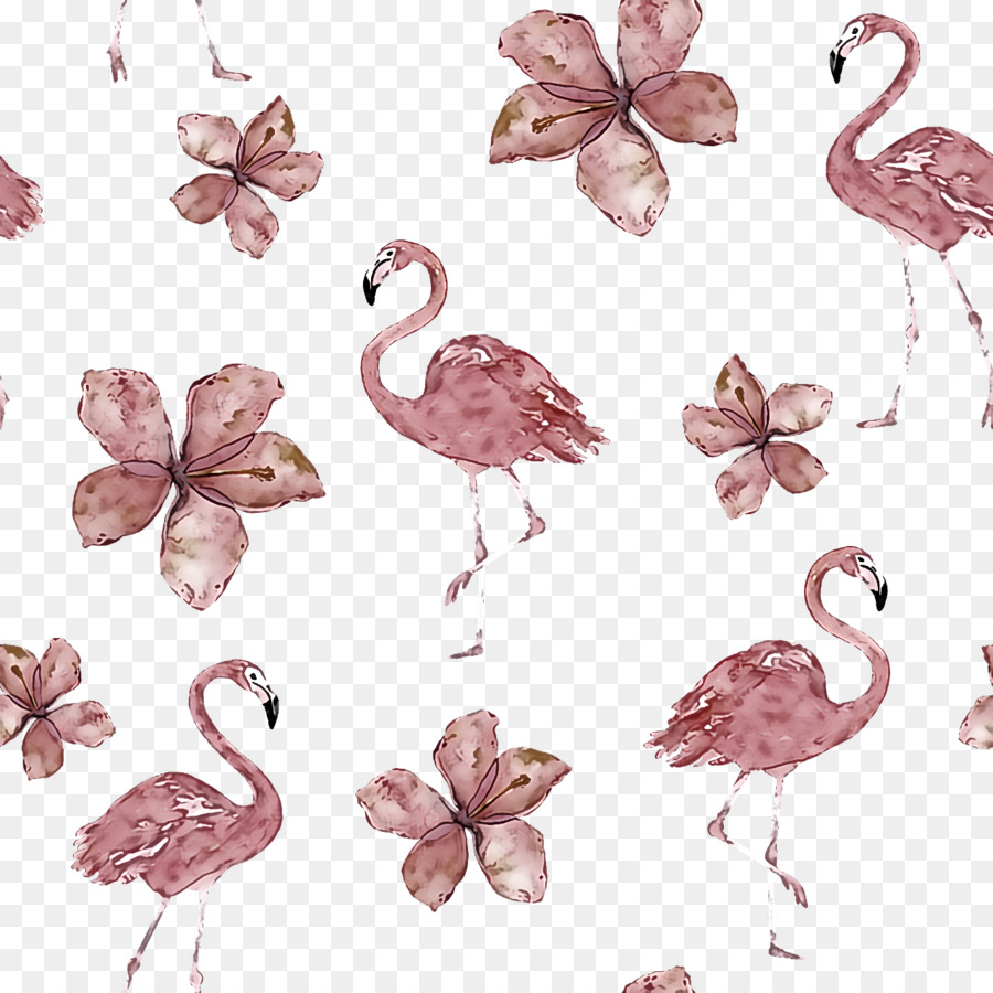 Flamencos，Flores PNG