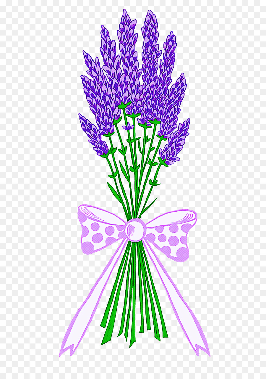 Flor，Lavanda PNG