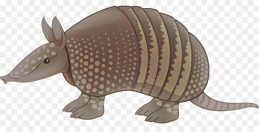 Armadillo，Cingulata PNG