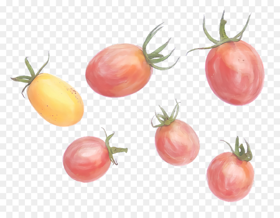 Bush Tomate，Alimentos Naturales PNG