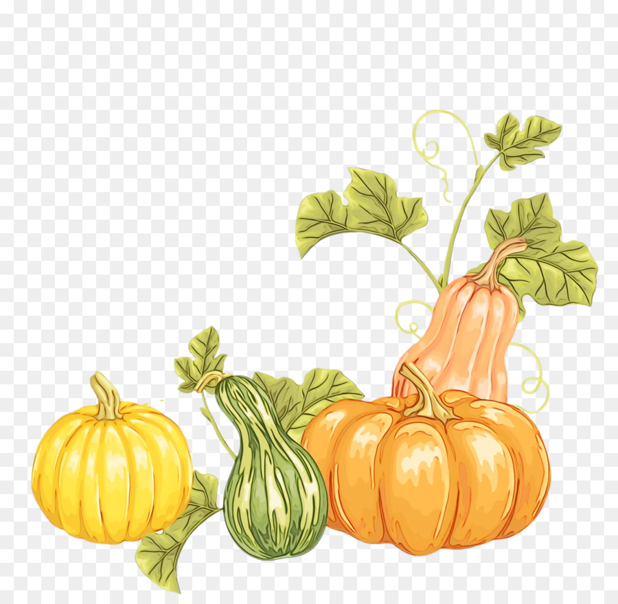 La Calabaza，Calabaza De Invierno PNG