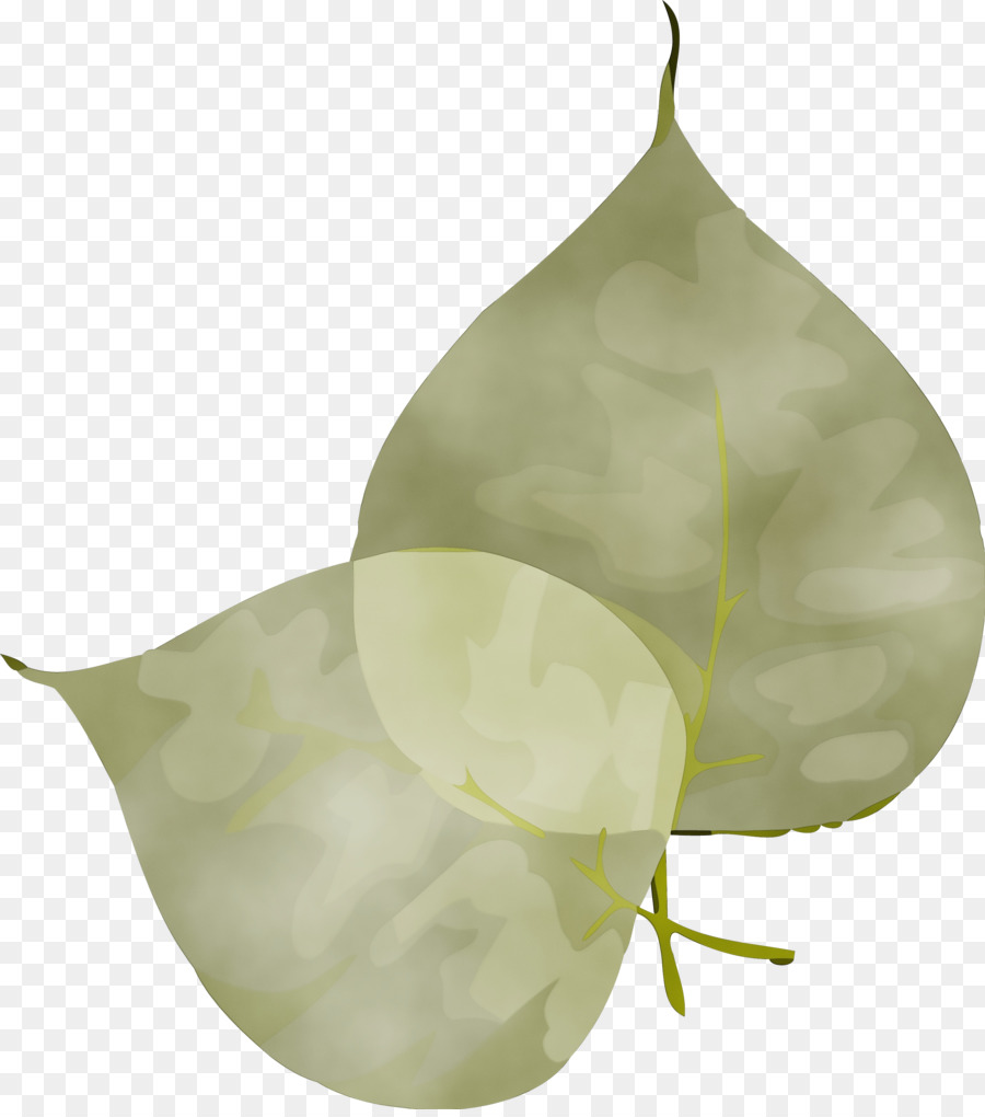 Hoja，La Fruta PNG