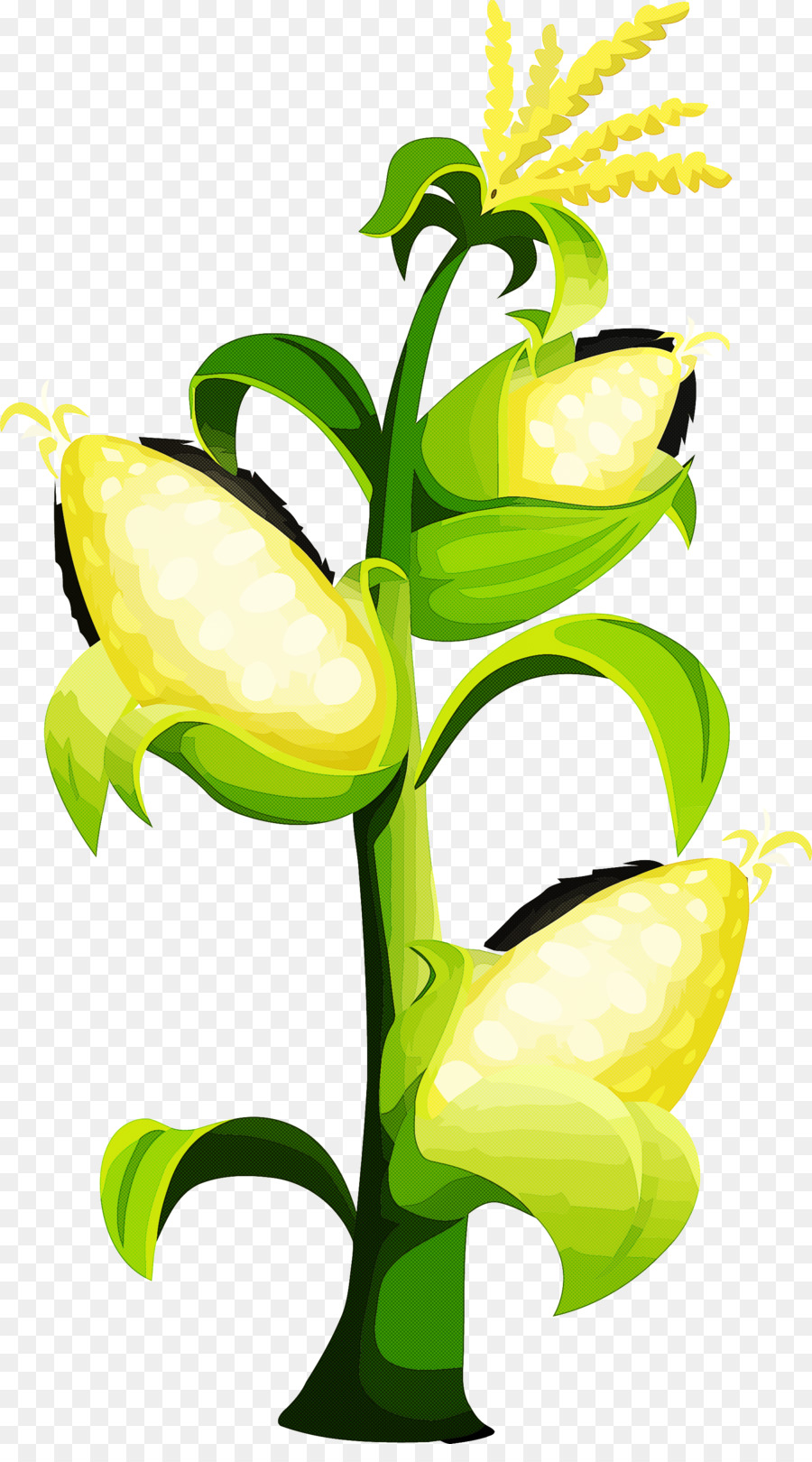 Flor，Cortar Flores PNG