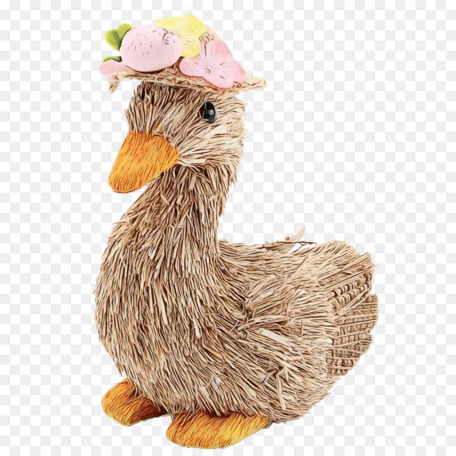 Pato，Aves PNG