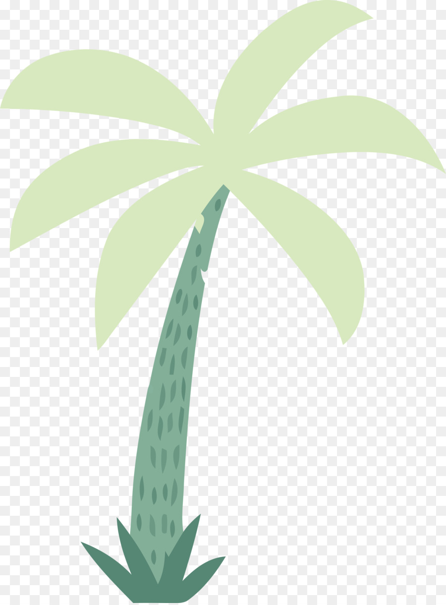 Palmera，Tropical PNG