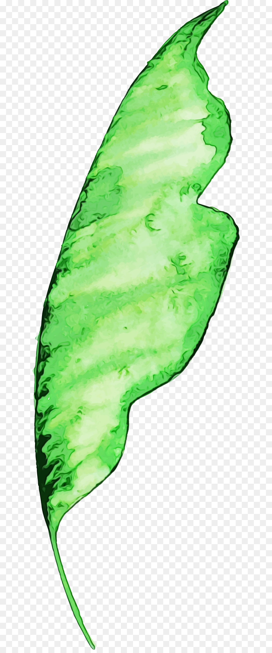 Hoja，Tallo De La Planta PNG