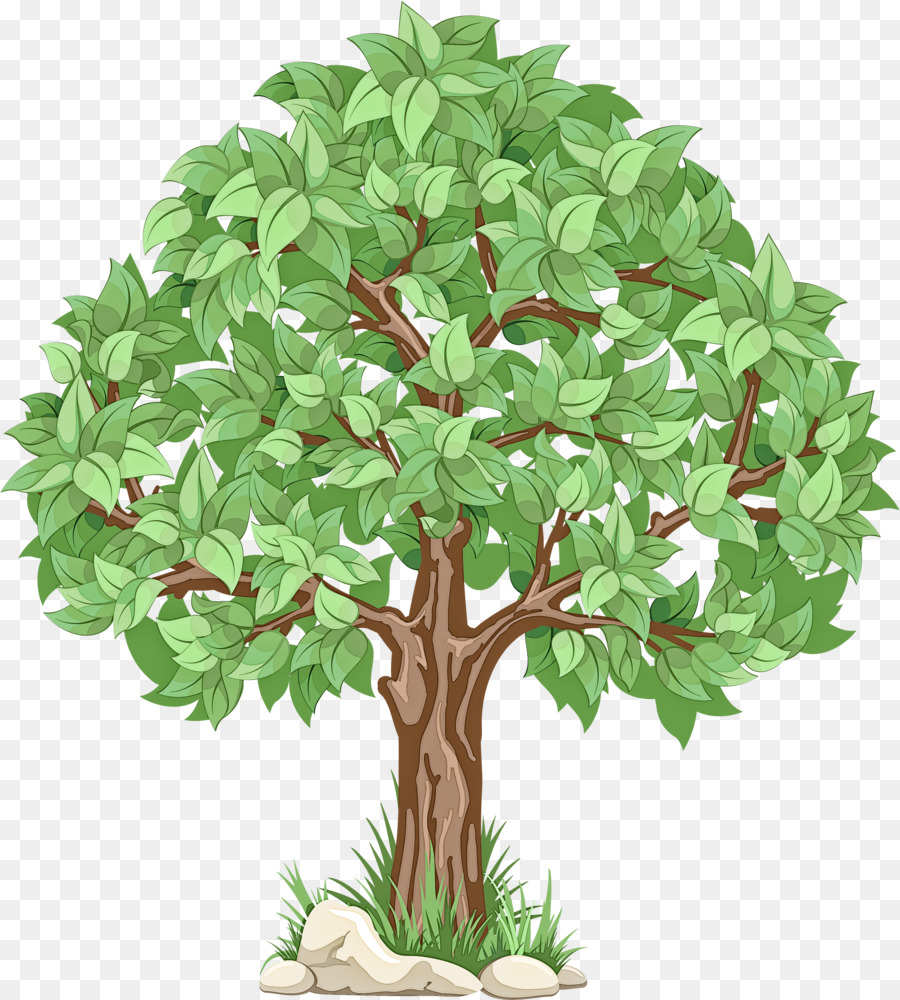 Planta De Interior，Árbol PNG