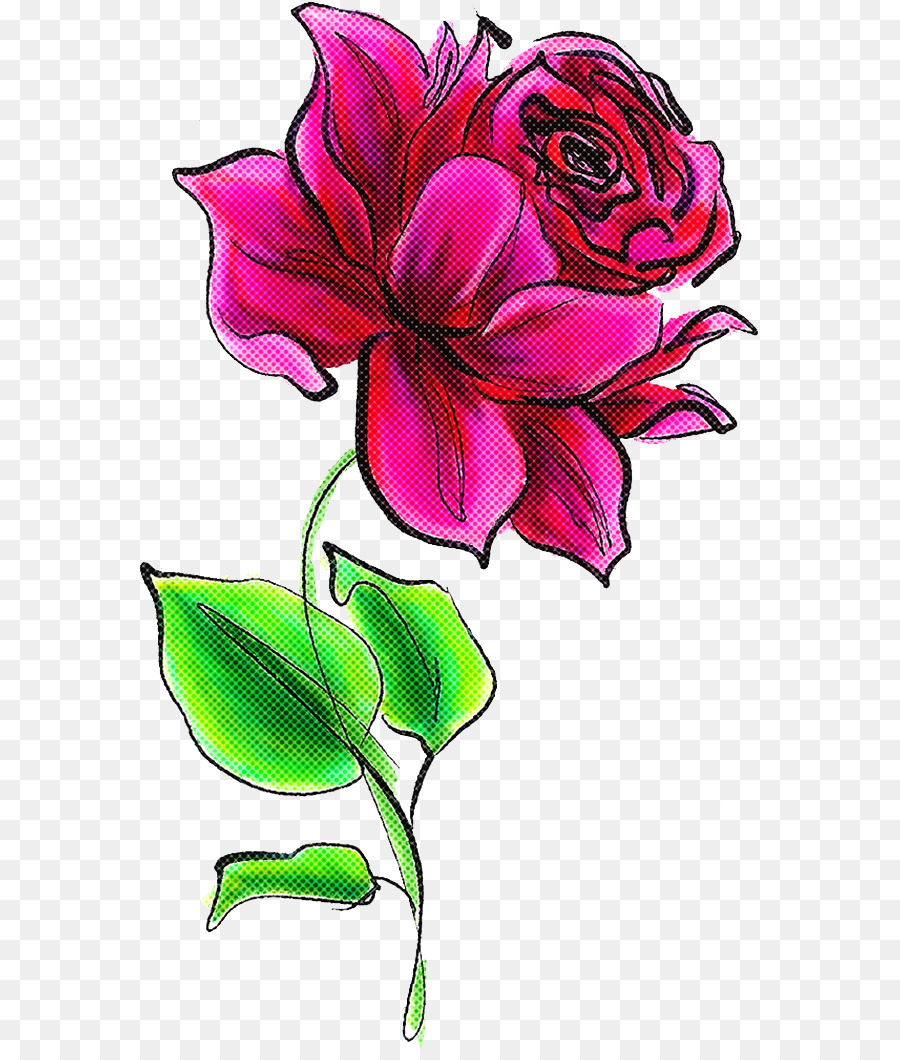 Diseño Floral，Familia De Las Rosas PNG