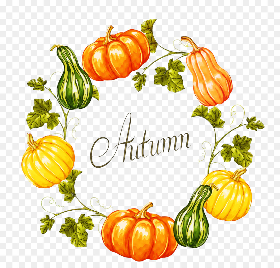 Calabaza，Cucurbita Maxima PNG