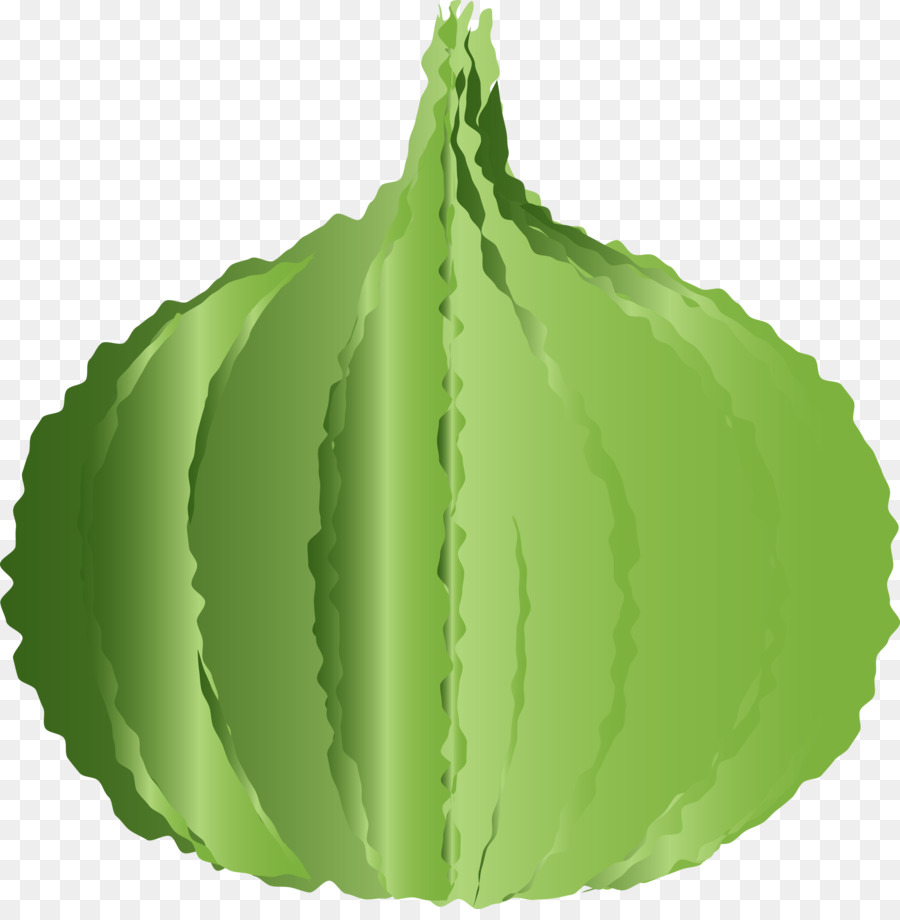 Hoja，Tallo De La Planta PNG