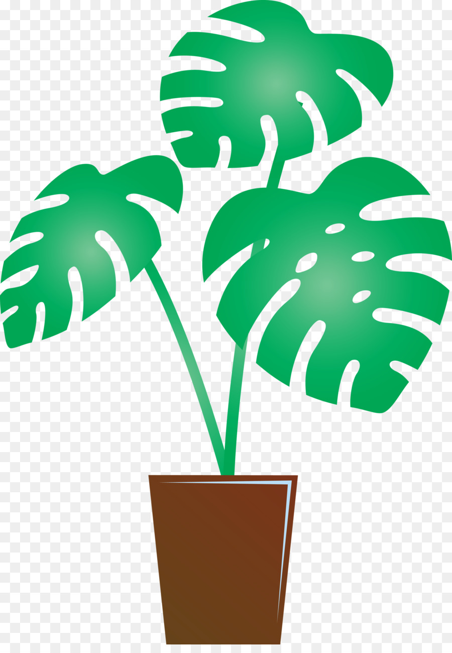 Tallo De La Planta，Los árboles De Palma PNG
