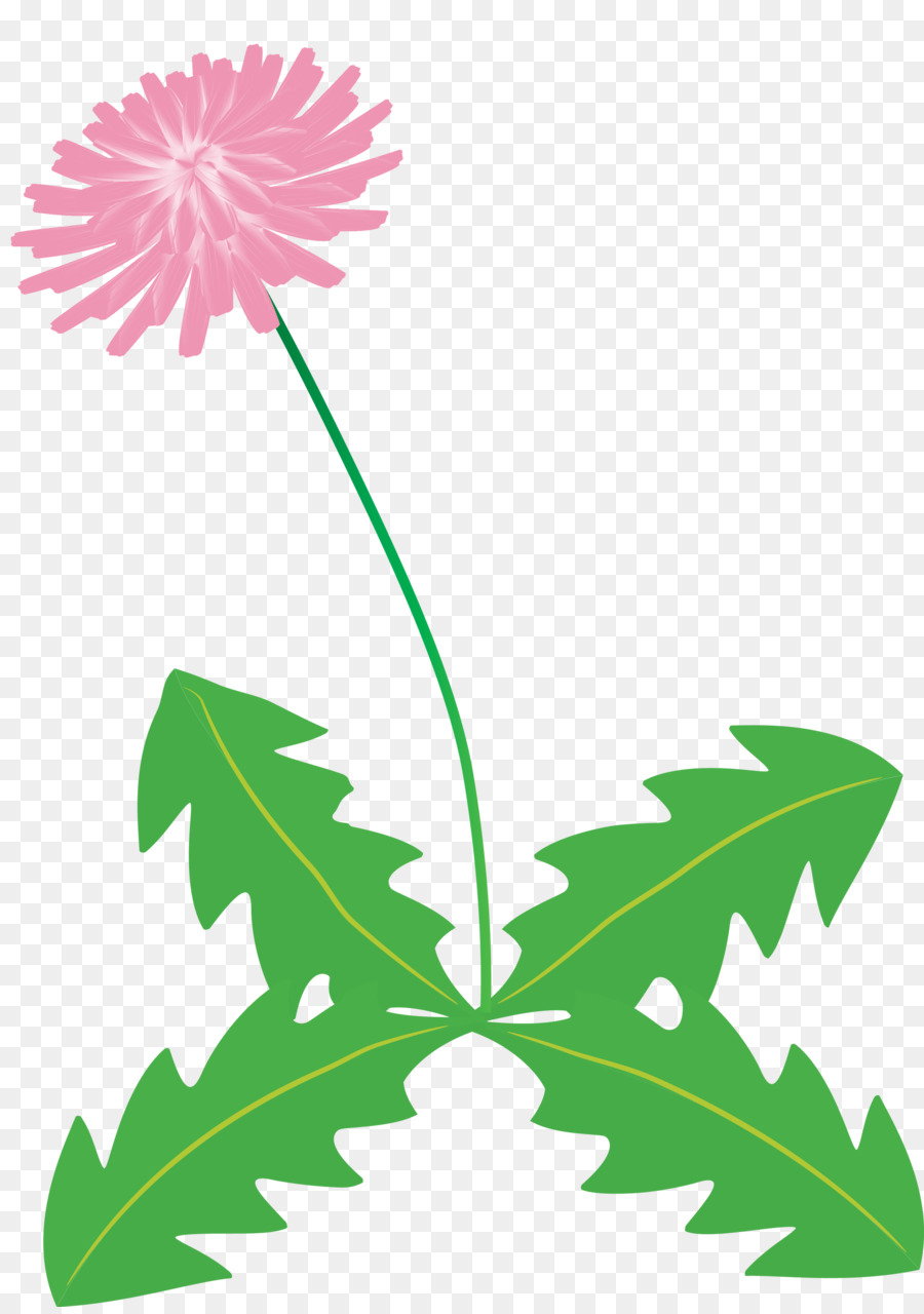 Flor，Pedicelo PNG