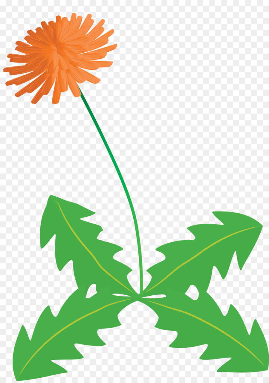 Flor，Pedicelo PNG