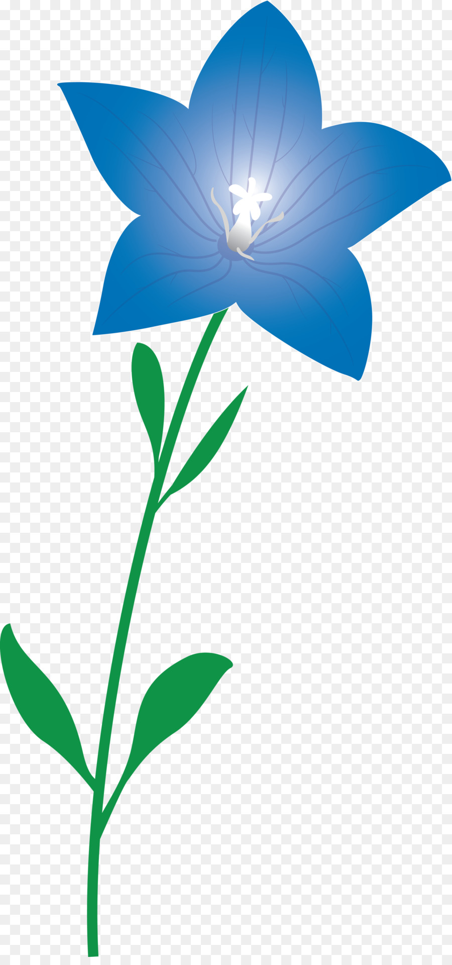 Flor，Tallo De La Planta PNG