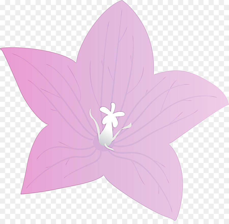 Flor，Pétalo PNG