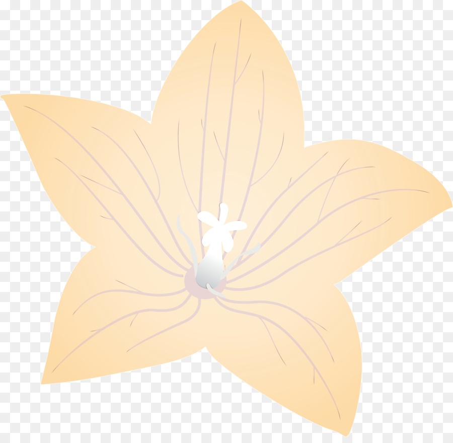 Flor De Naranja，Florecer PNG