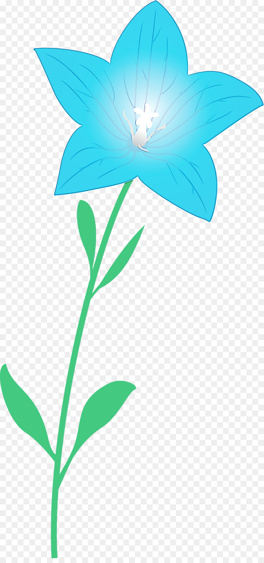 Tallo De La Planta，Flor PNG