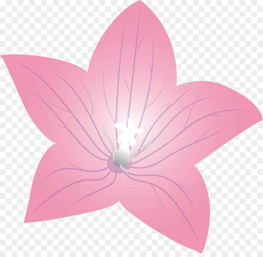 Flor De Naranja，Florecer PNG