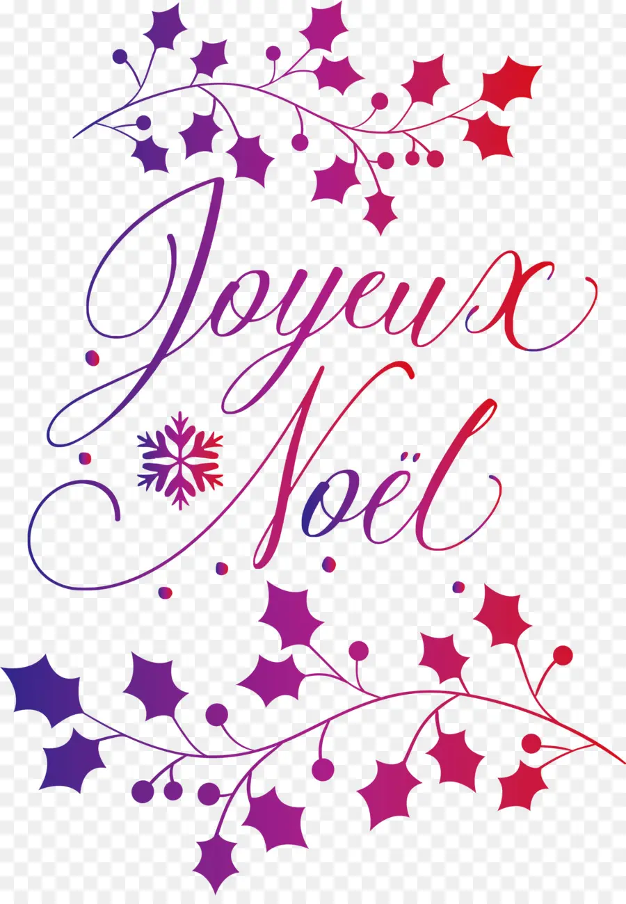 Joyeux Noël，Acebo PNG