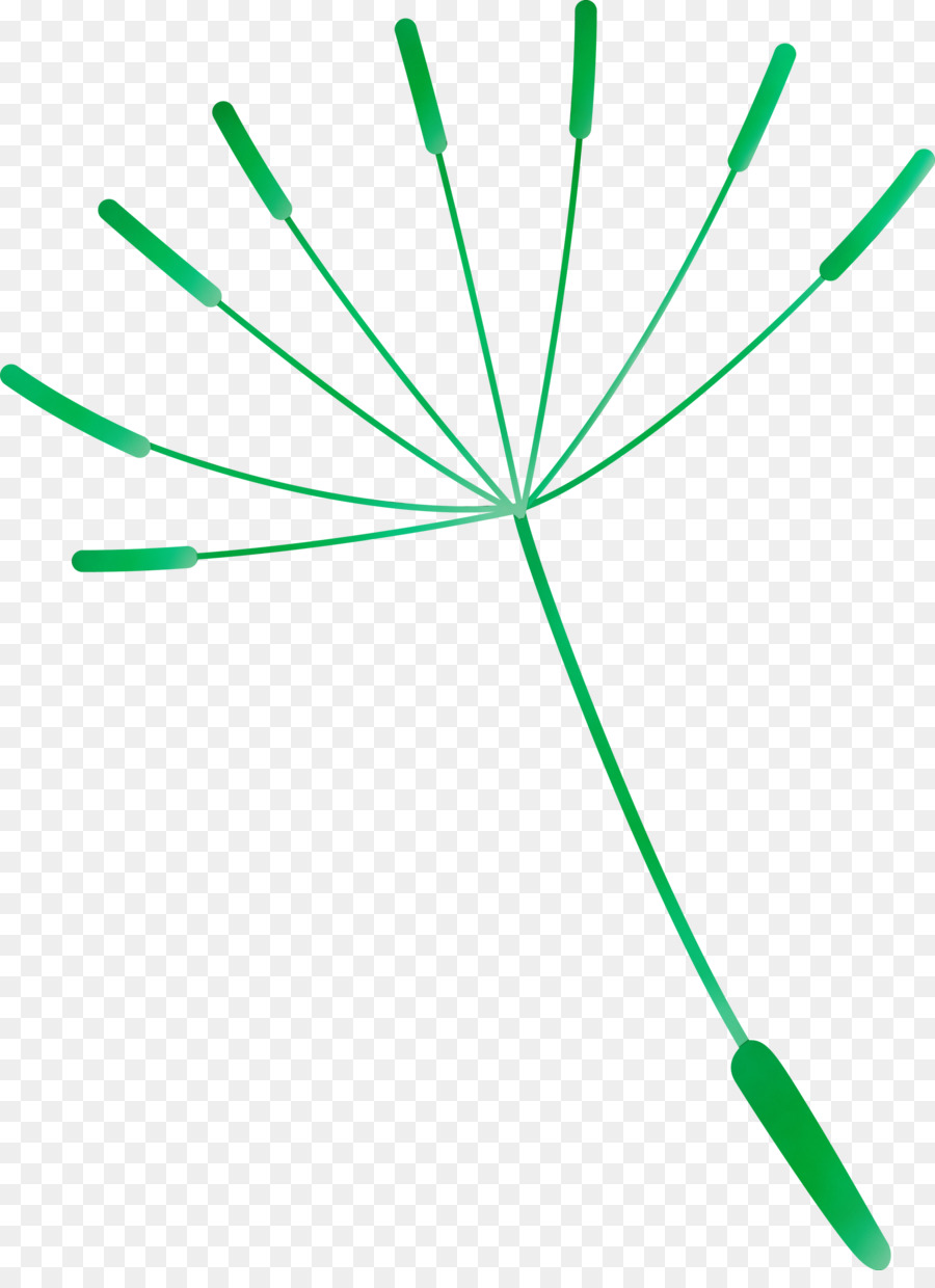 Semilla De Diente De León，Flor PNG