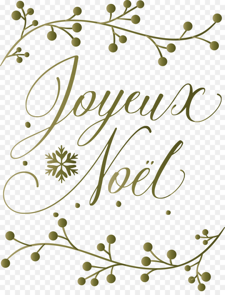 Joyeux Noël，Acebo PNG