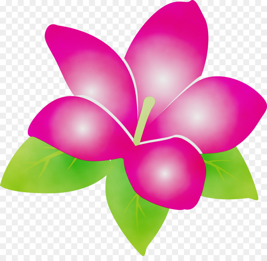 Flor Morada，Florecer PNG