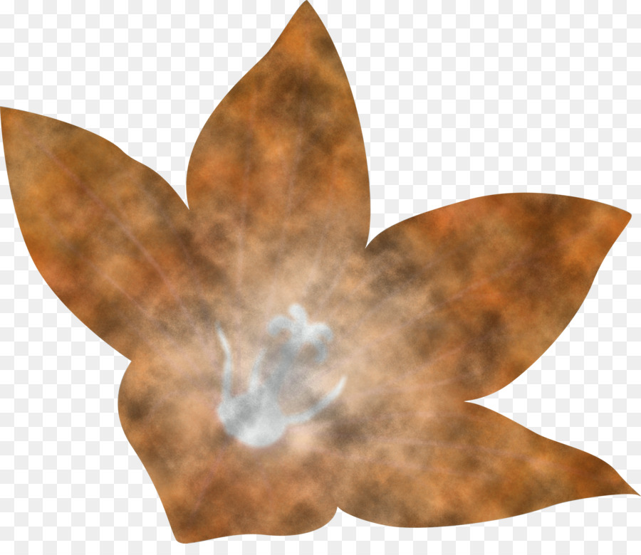 Hoja，La Ciencia PNG