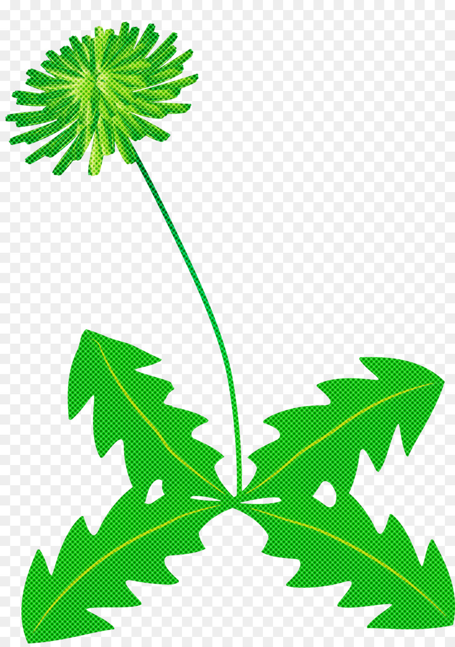 Común De Diente De León，Tallo De La Planta PNG