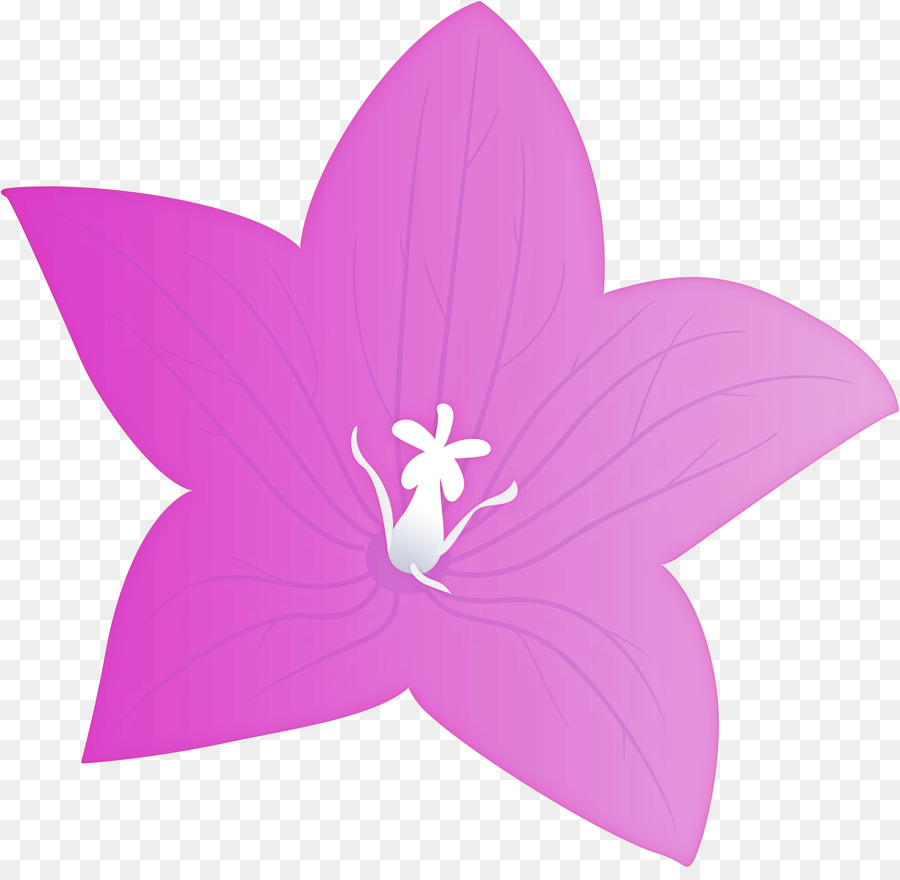 Flor，Pétalo PNG