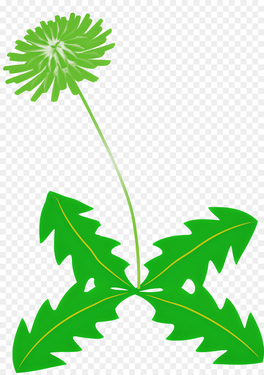 Diente De León，Flor PNG