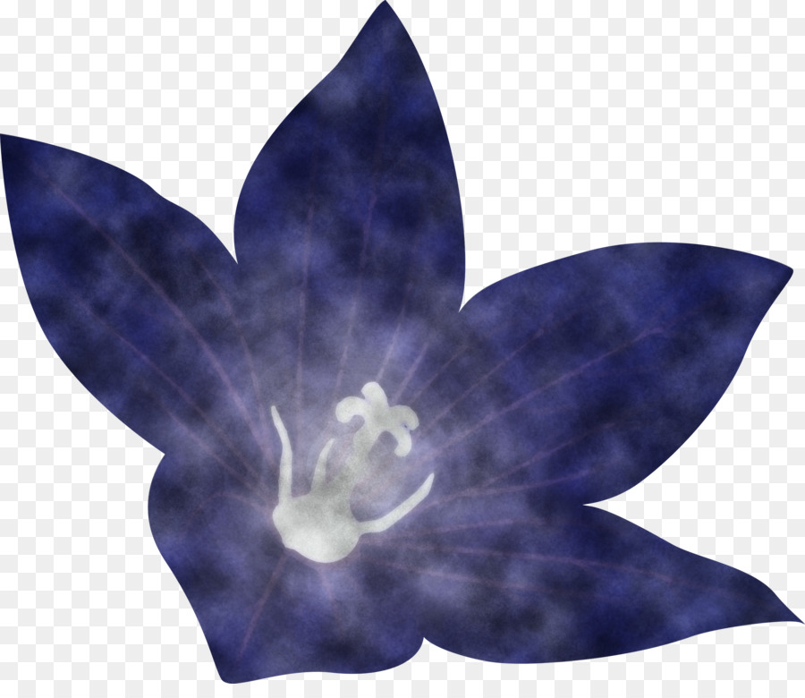 Azul Cobalto，Flor PNG