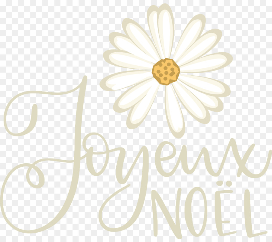 Diseño Floral，Margarita PNG