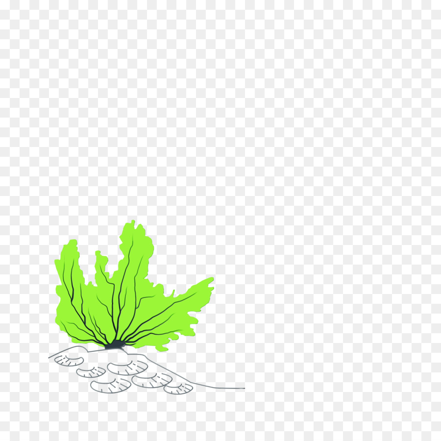 Hoja，Tallo De La Planta PNG