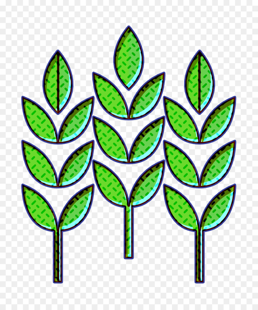 Hoja，Tallo De La Planta PNG