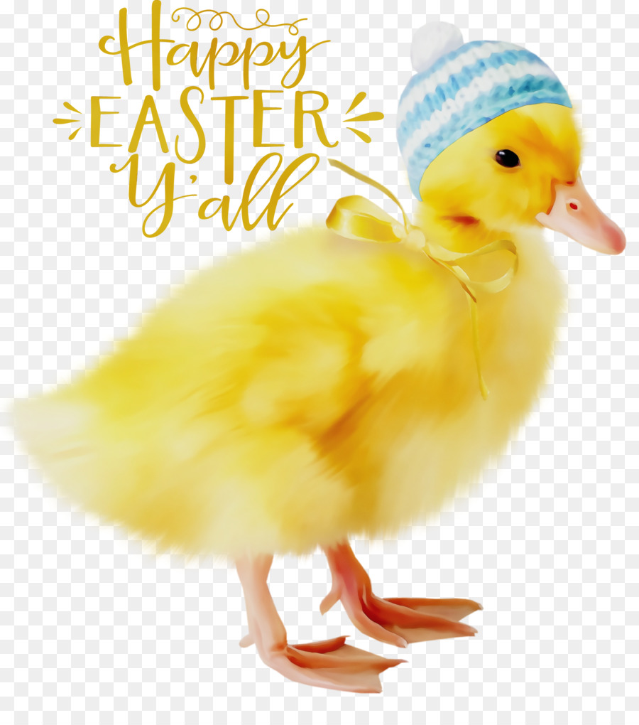 Conejito De Pascua，Pato PNG