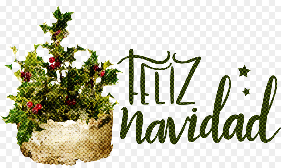 Día De Navidad，Acebo Común PNG