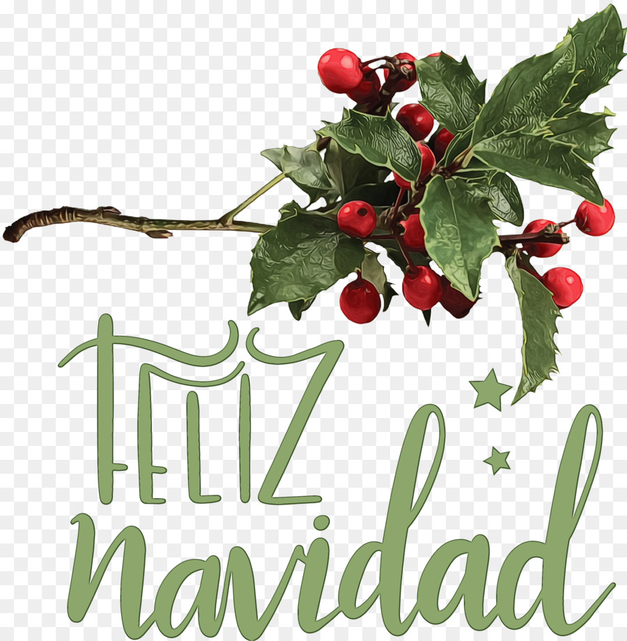 Común Holly，Berry PNG