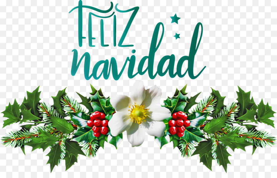 Muérdago，Día De Navidad PNG