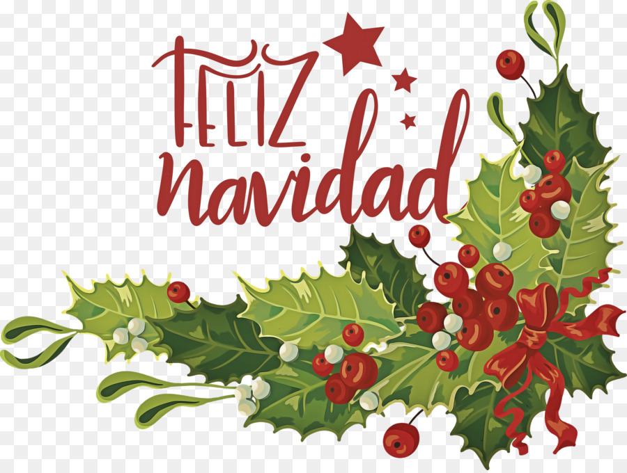 Diseño Floral，Christmas Day PNG