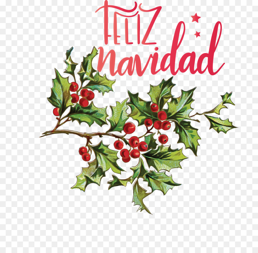 Feliz Navidad，Acebo PNG