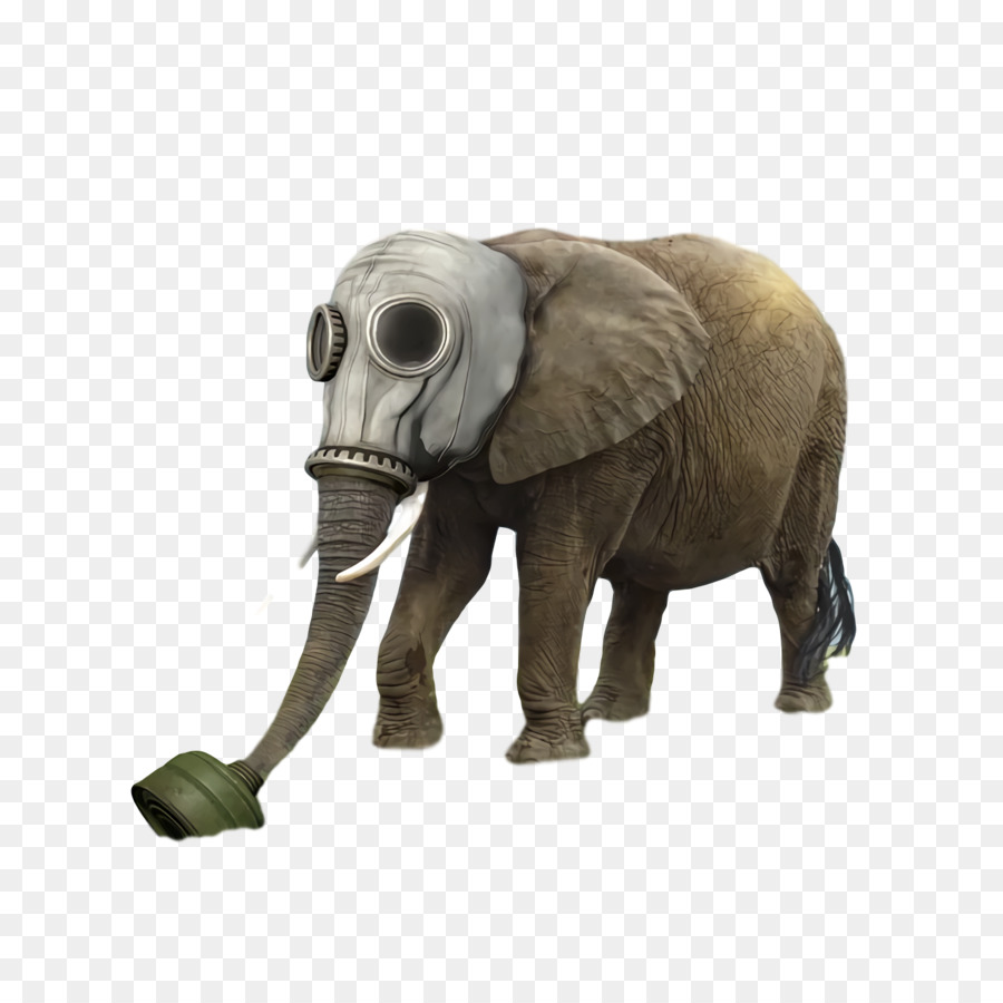 Elefantes Africanos，Elefante PNG