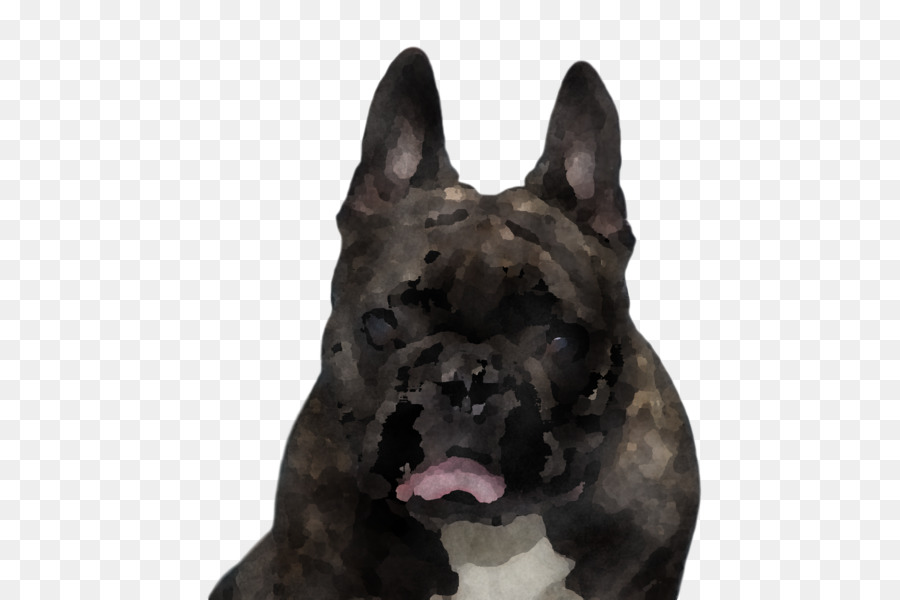 Perro，Mascota PNG