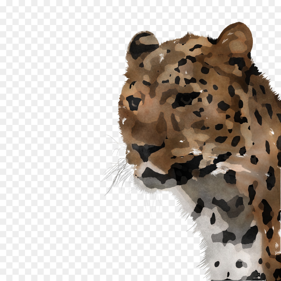 Leopardo，Guepardo PNG