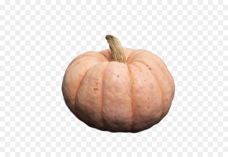 Calabaza，Calabaza De Invierno PNG