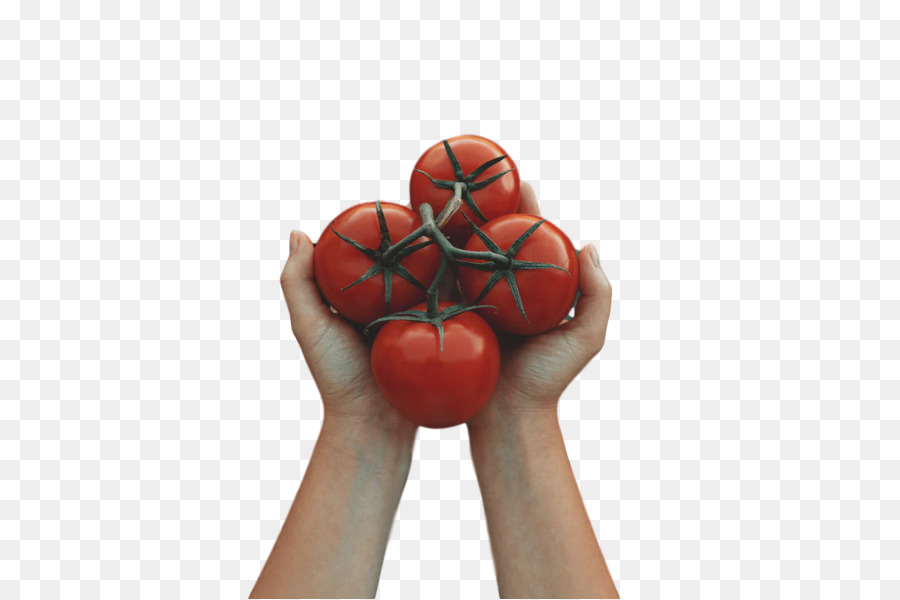 Tomate，La Fruta PNG