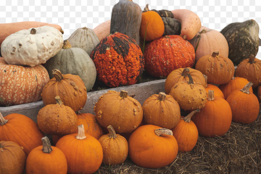 La Calabaza，Calabaza De Invierno PNG