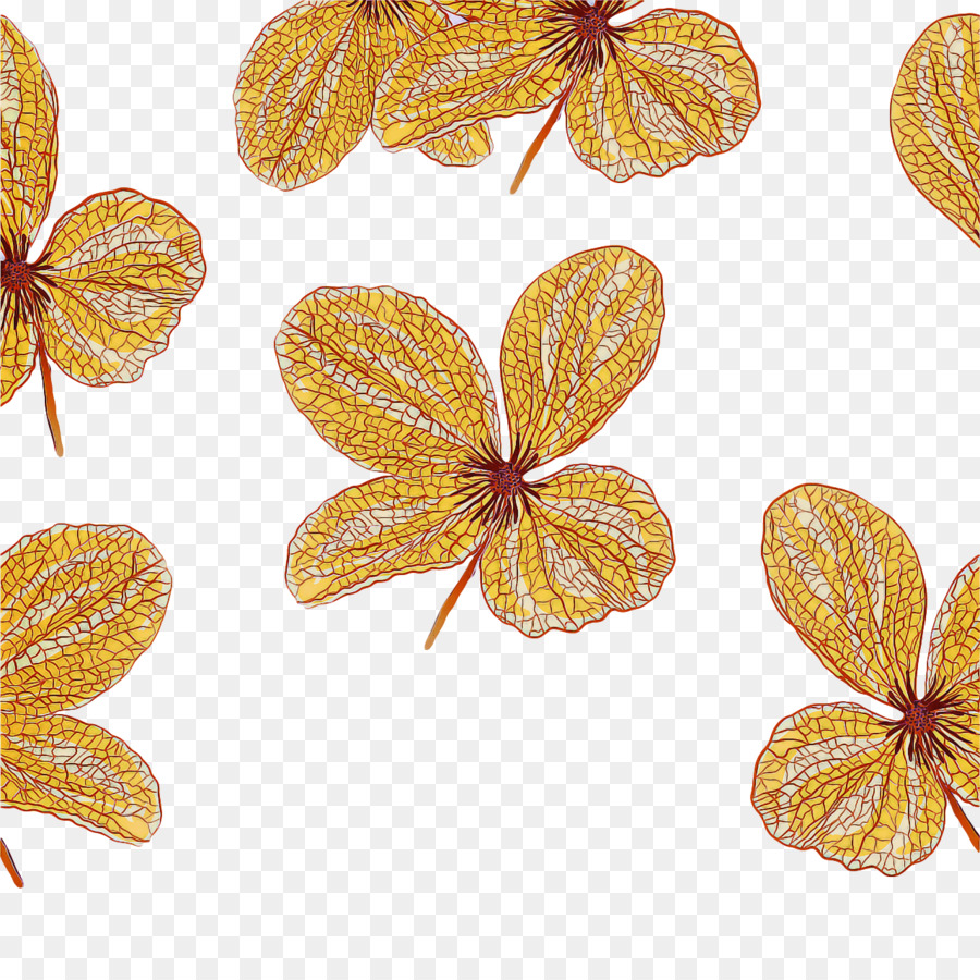 Oro，Mariposas PNG