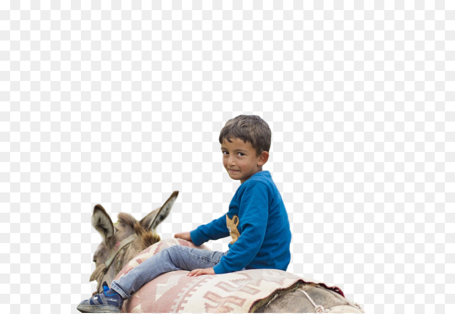 Caballo，Sentado PNG