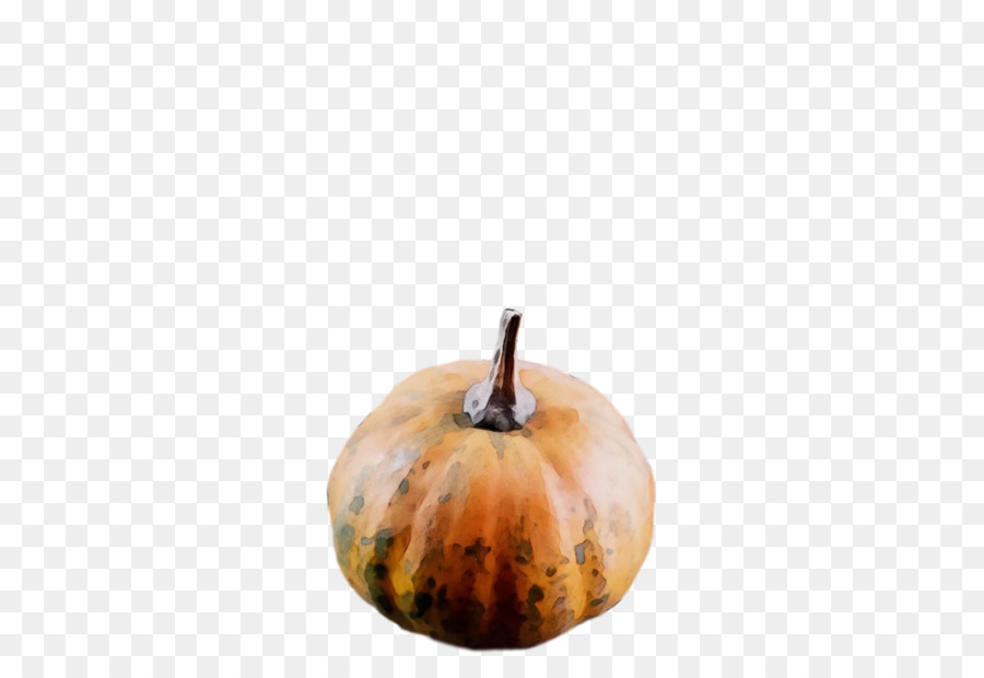 Calabaza De Invierno，Calabaza PNG